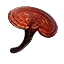 麻雀蘑菇