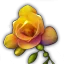 甘菊