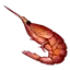 红虾