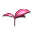 摩可可叶帽子
