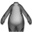 勇猛黑虎身体