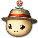 炎热的夏日伊洛贝巴头部