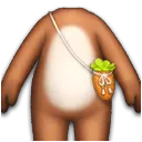 棕色马儿身体