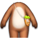 棕色马儿身体