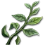 褪色的茎干