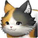 宠物：聪明的花猫