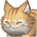 宠物：古怪的橘猫
