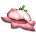 托托格花朵帽