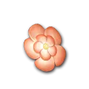 海星花发卡