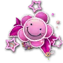 蒂卡蒂卡沙滩装魔法卡组