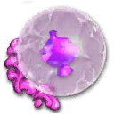 粉色霓虹气功牌（活动）