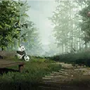 竹林