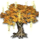 摆设：蕴含埃拉的树