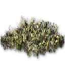 摆设：芦苇田