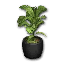 摆设：斯黛拉花盆
