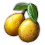 坤达果实