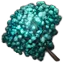 红仙花