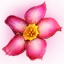 烁亮的盐花