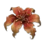 小暮光花