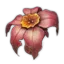 小四季花