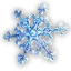 雪花粉末